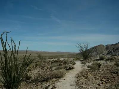 Agua Caliente County Park, Moonlight trail head