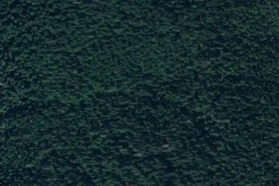 Camp site
