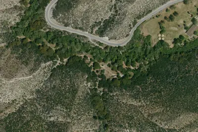 Cottonwood