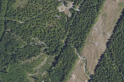 Camp site