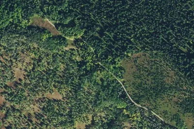 Camp site
