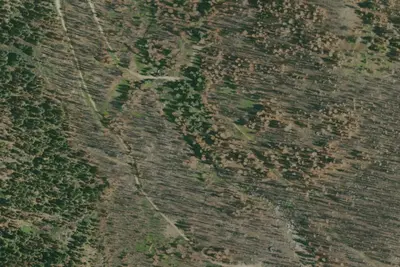 Camp site