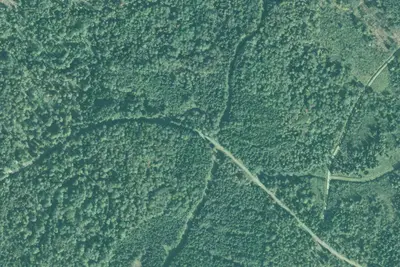Camp site