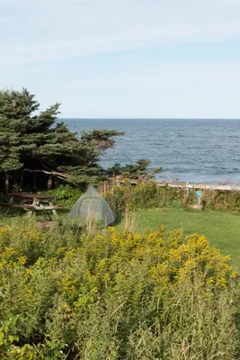 Newfoundland IMG 1105 (15422163837)
