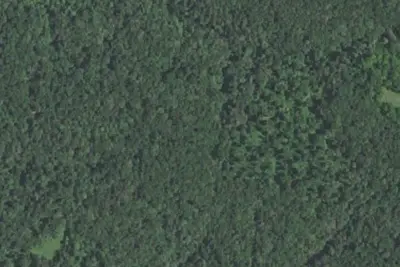 Camp site
