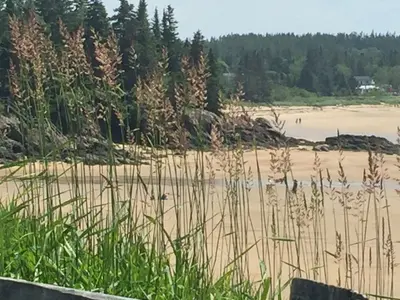 NRB Haggerty's Cove