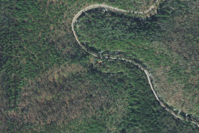 Citico Site 12