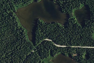 Forlorn Lakes Campground: Sites 9-12