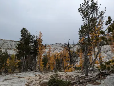 Unidentified locations in the Enchantments (11 October 2024) 13