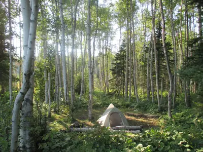 Lake Whittlesey Tent Site