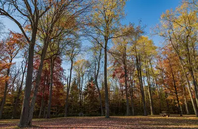 Autumn - Cranberry Lake, New York (30767562920)