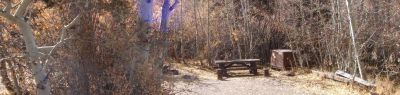 June Lake Campground