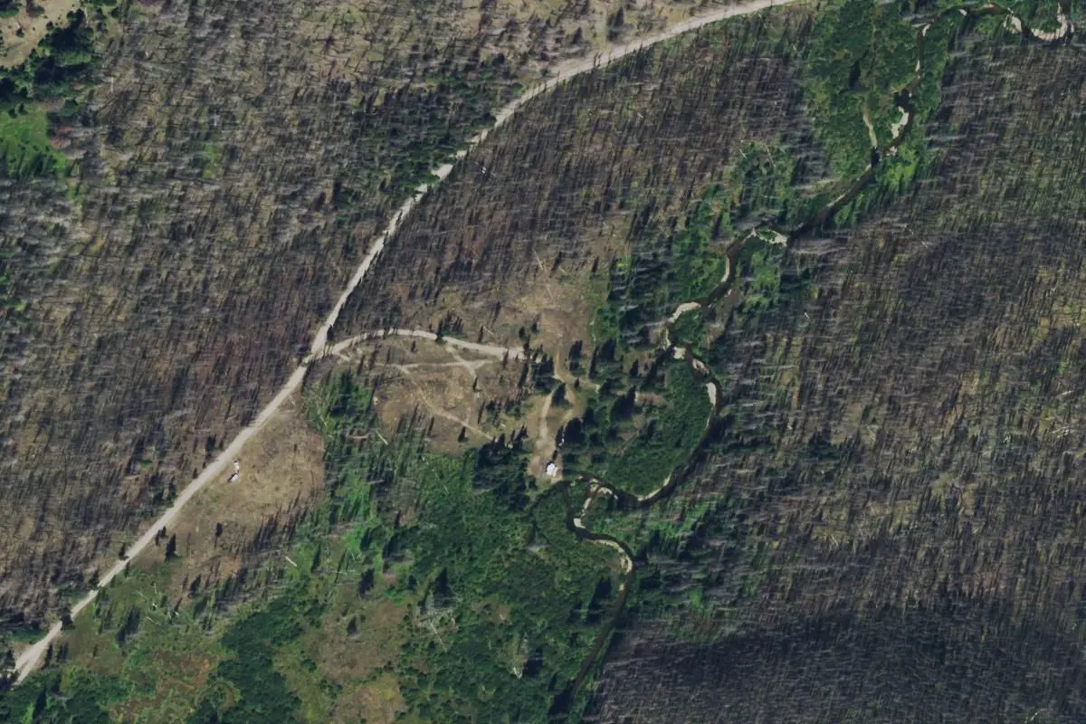 Aerial view