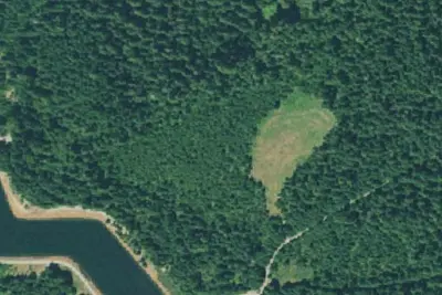 Clearwater #2 Forbay Forest Camp