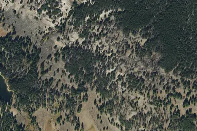 Reservoir Lake Campground and Picnic Area