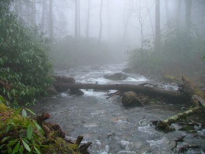 Porters Creek 3 (425992270)