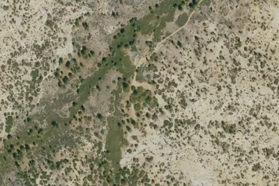 Thorn Meadows Campground