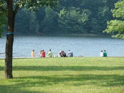 TIPSAW LAKE Beachfront