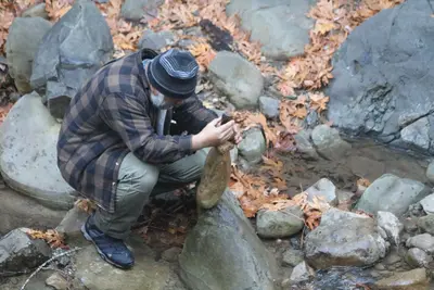 Rock balancing in Uvas Canyon.gk