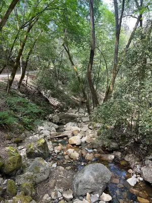 Uvas Canyon County Park 4 2023-06-03