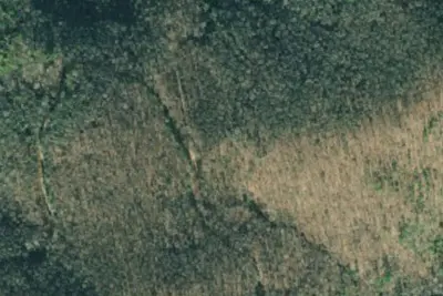 Camp site
