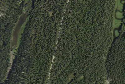 Camp site