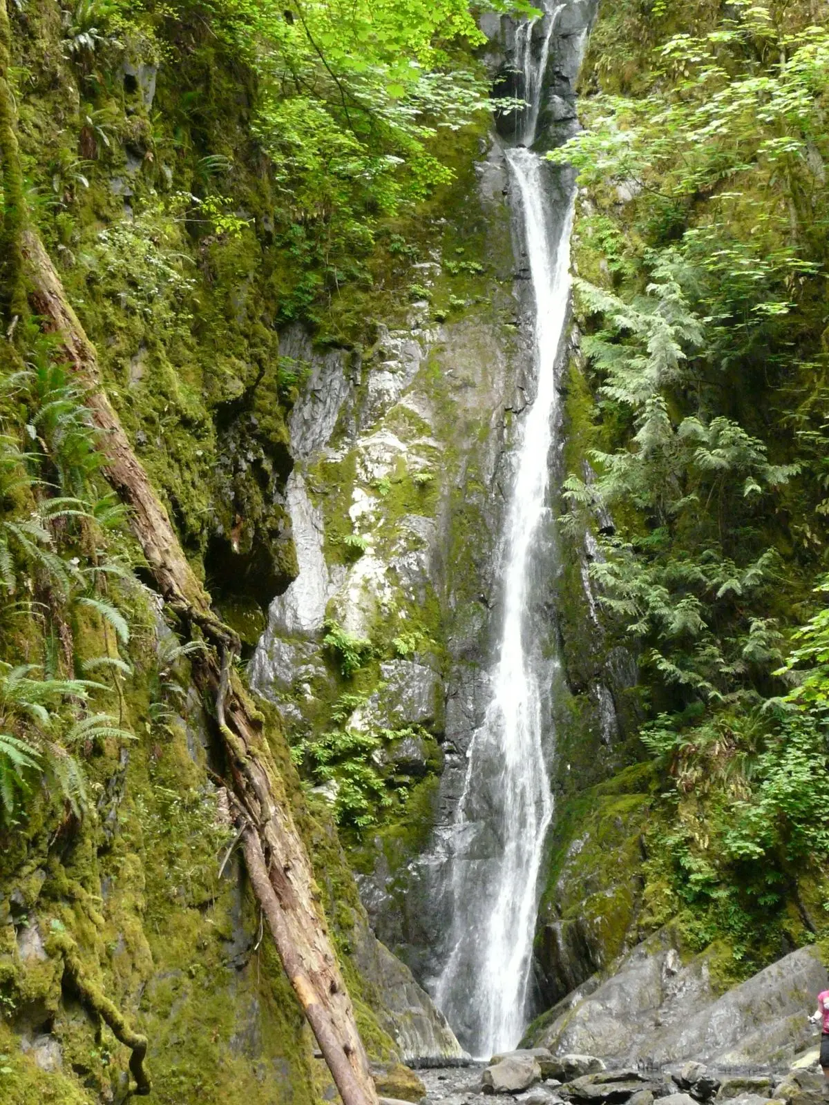 Photo of Goldstream Park