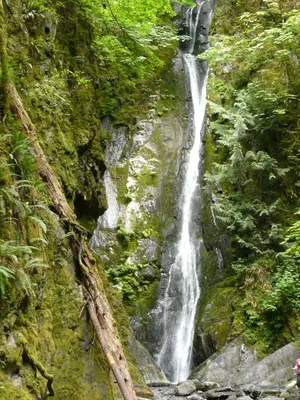 Goldstream Campground