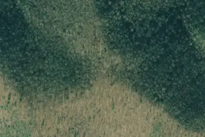 Camp site