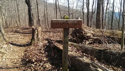 Signpost for Freeman-AT west intersection. - panoramio
