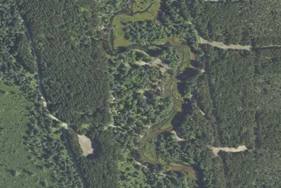 Upper Manistee River State Forest Campground