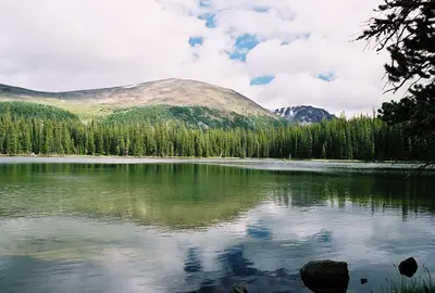 Trips 05 - Cathedral Park - 03 (90968744)