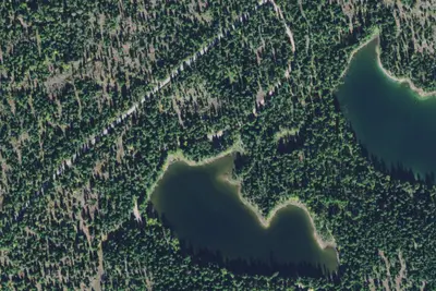 903-25 Elk Area