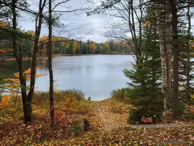 Carr Lake Water Access and stairs