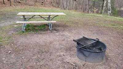 Carr Lake Campsite