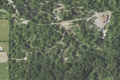 Fir
