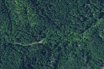 Gales Creek Campground