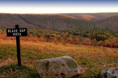 Flickr - Nicholas T - Black Gap Vista (2)