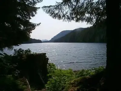 Young lake (north) cabin22