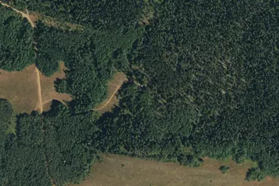 Camp site