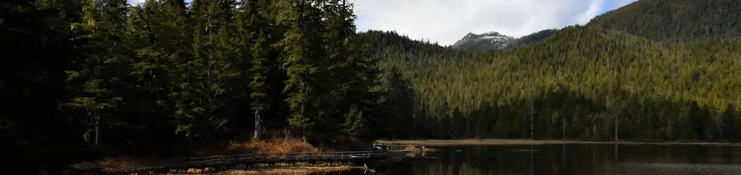 Lakeshore at Eagles Nest and Balls Lake