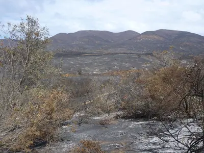LaJolla Valley (8721026849)