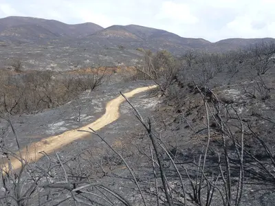 La Jolla Canyon trail (8722149564)