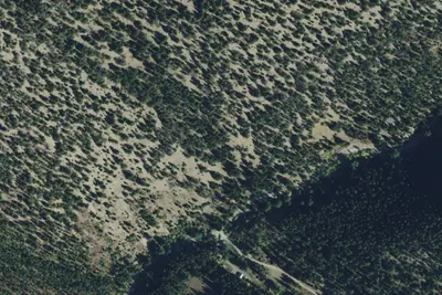 Blacktail Rd 4171 001