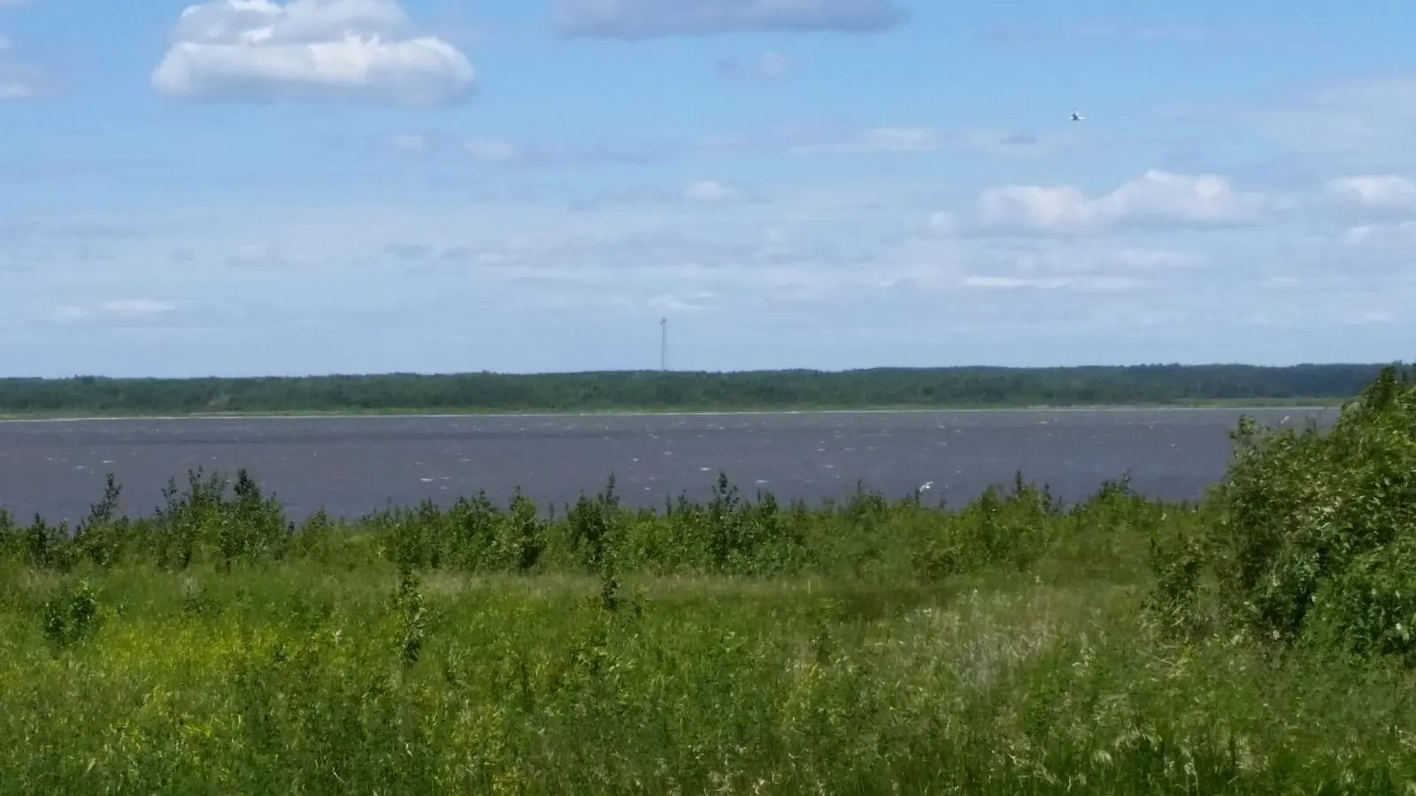 Photo of Miquelon Lake Provincial Park
