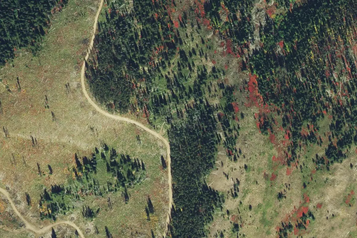 Aerial view