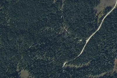 Fr 682 Langohrtooleg2 137