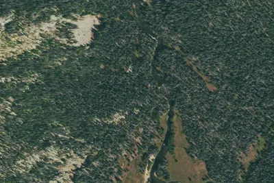 U.S. Forest Service Site 19
