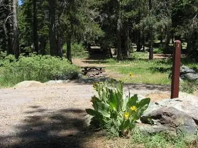 Salmon Creek Campground