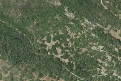 Live Oak Campground